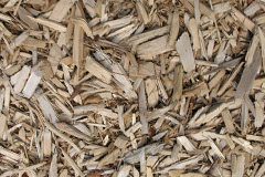 biomass boilers Marshgate